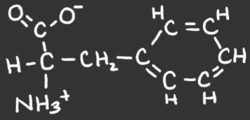 Phenylalanine-tyrosine | Health Reviewer