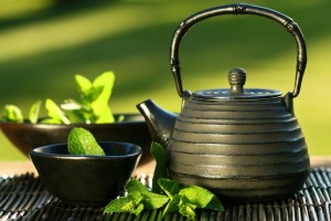 green tea as an antioxidant