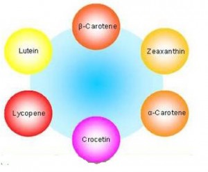 The rest of the Lutein Family