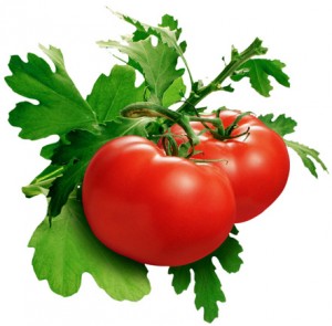 Lycopene Extraction typically involves the tomato