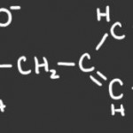 phenylalanine-tyrosine