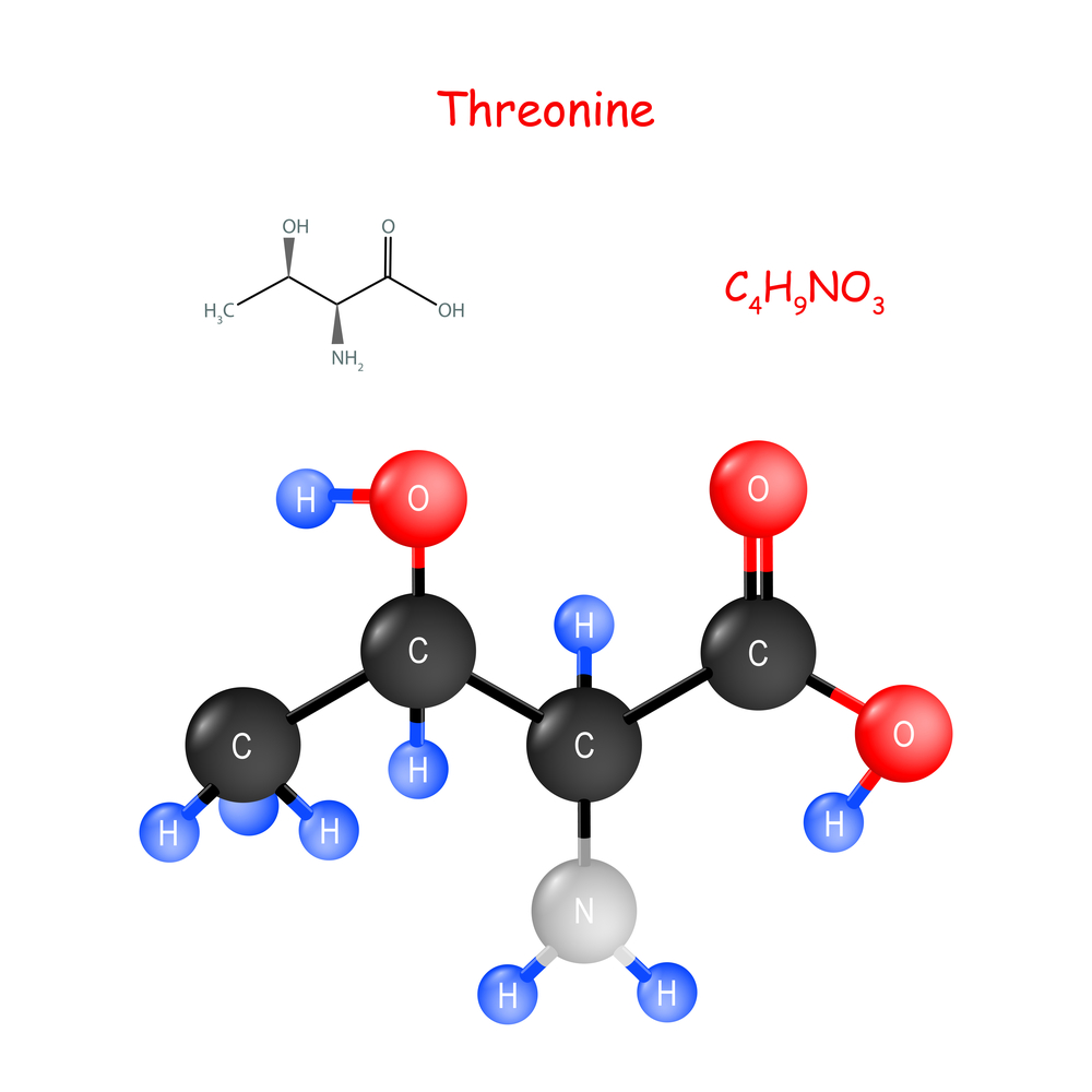 L Threonine chemical structure