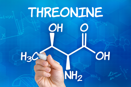 L Threonine Structure