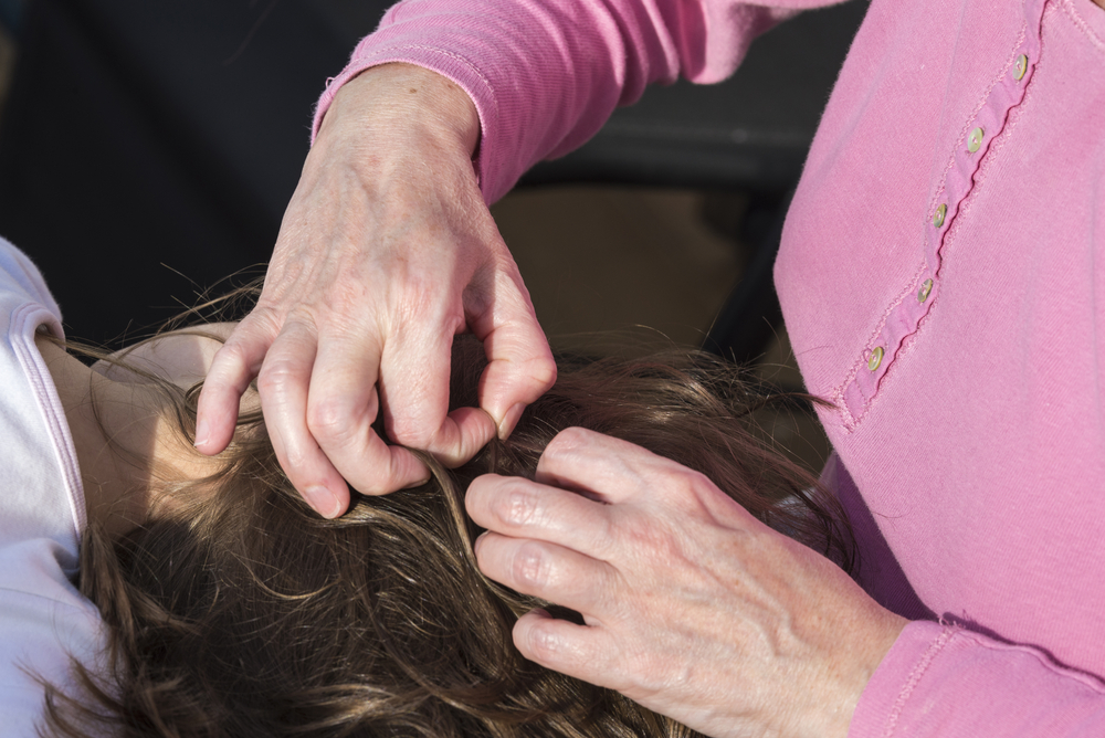 mother removing lice